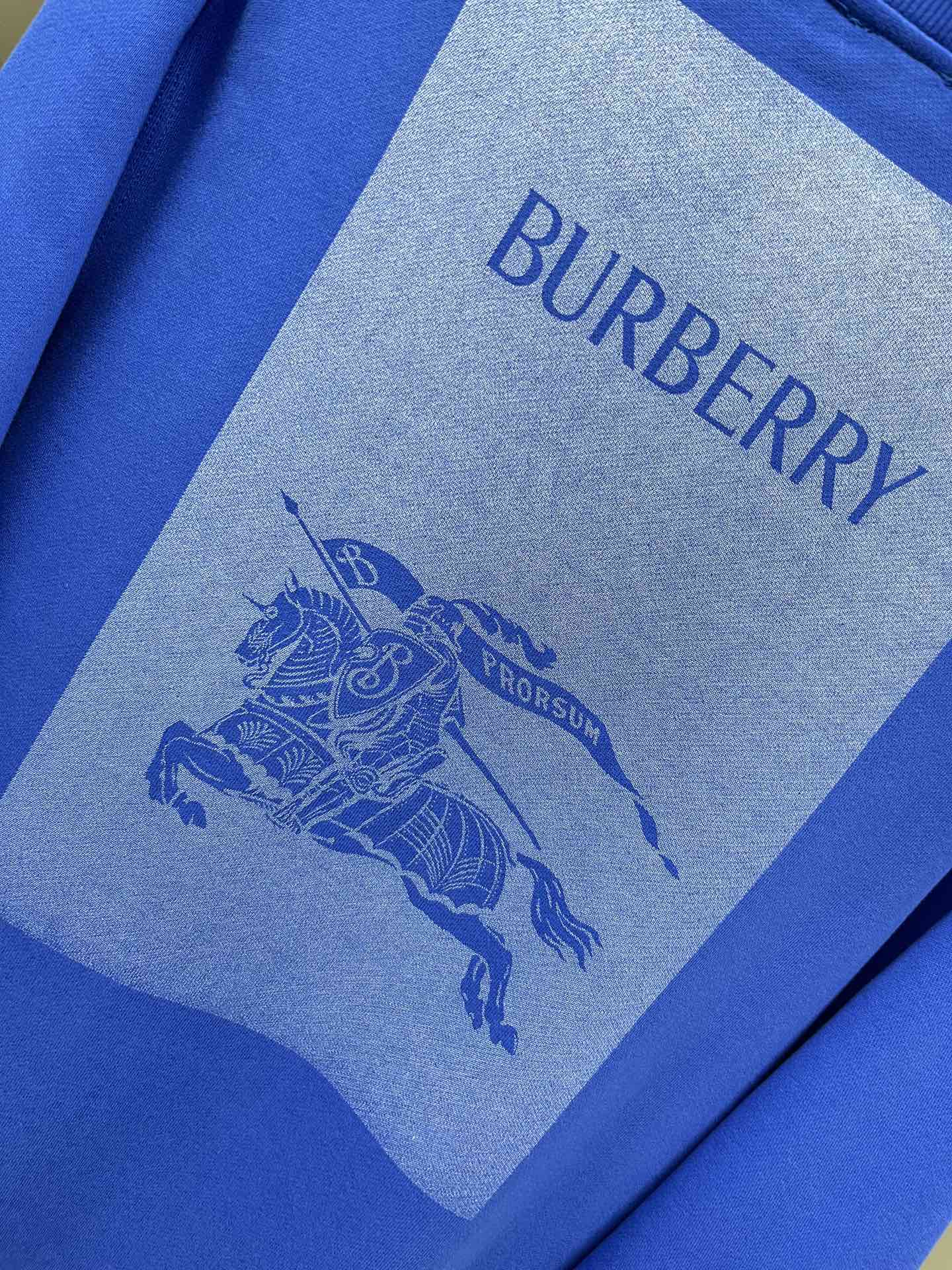 Burberry Hoodies